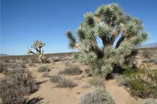 207-01-048 Red Cloud Dr, Yucca, AZ 86438 - Photo 1