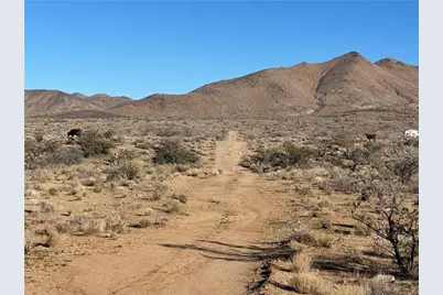 0 N Lost Mine Drive, Chloride, AZ 86431 - Photo 15