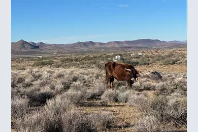 0 N Lost Mine Drive, Chloride, AZ 86431 - Photo 5