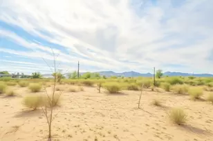 4391 W Miramar Dr, Golden Valley, AZ 86413 - Photo 3