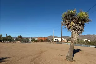 4240 W Tangerine Dr, Golden Valley, AZ 86413 - Photo 55