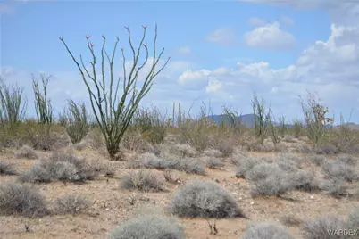 D4 Rose Well, Yucca, AZ 86438 - Photo 13