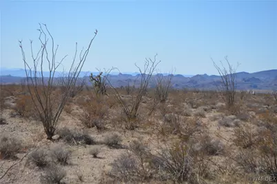 D4 Rose Well, Yucca, AZ 86438 - Photo 65