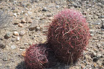 D4 Rose Well, Yucca, AZ 86438 - Photo 11