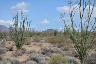 D4 Rose Well, Yucca, AZ 86438 - Photo 57