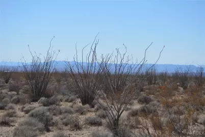 D4 Rose Well, Yucca, AZ 86438 - Photo 63