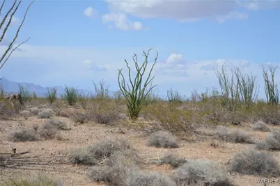 D4 Rose Well, Yucca, AZ 86438 - Photo 9