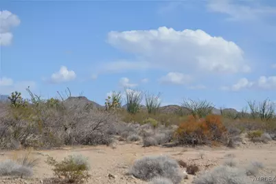 D4 Rose Well, Yucca, AZ 86438 - Photo 25