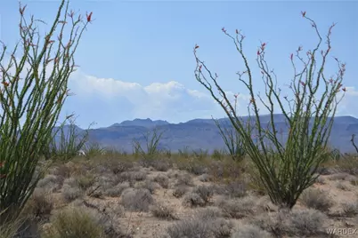 D4 Rose Well, Yucca, AZ 86438 - Photo 3
