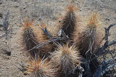 N7 Castle Butte Road, Yucca, AZ 86438 - Photo 33
