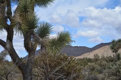 11900 S Alan Road, Yucca, AZ 86438 - Photo 51