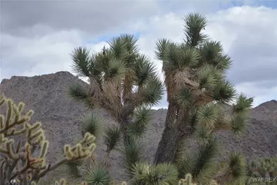 11900 S Alan Road, Yucca, AZ 86438 - Photo 79