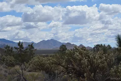 11900 S Alan Road, Yucca, AZ 86438 - Photo 61