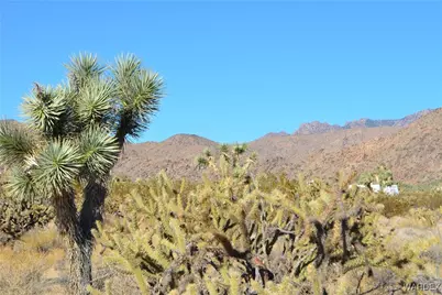 11900 S Alan Road, Yucca, AZ 86438 - Photo 3