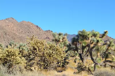 11900 S Alan Road, Yucca, AZ 86438 - Photo 9