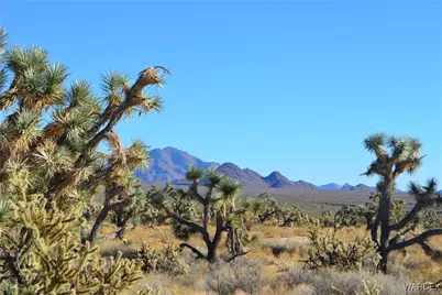 11900 S Alan Road, Yucca, AZ 86438 - Photo 31