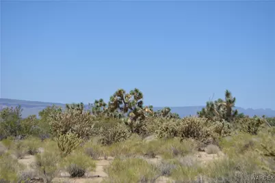 11626 S Sherry Road, Yucca, AZ 86438 - Photo 69