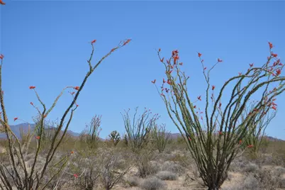 245-24-169 S Red Lake Road, Yucca, AZ 86438 - Photo 9
