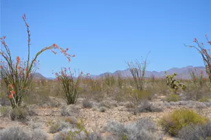 245-24-169 S Red Lake Rd, Yucca, AZ 86438 - Photo 1