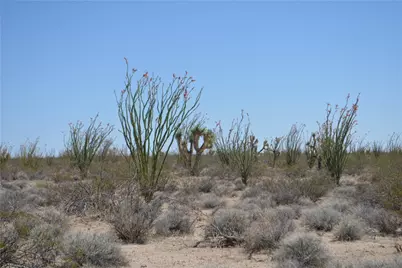 245-24-169 S Red Lake Road, Yucca, AZ 86438 - Photo 21