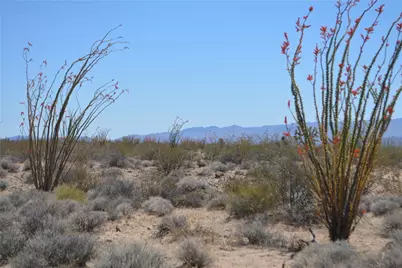 K13 S Red Lake Road, Yucca, AZ 86438 - Photo 13