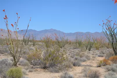 245-24-169 S Red Lake Road, Yucca, AZ 86438 - Photo 5