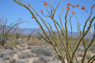 K13 S Red Lake Road, Yucca, AZ 86438 - Photo 7