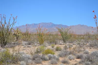 K13 S Red Lake Road, Yucca, AZ 86438 - Photo 3