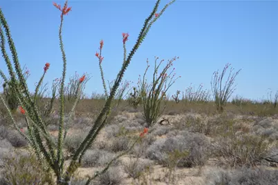 K13 S Red Lake Road, Yucca, AZ 86438 - Photo 11