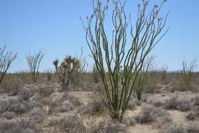 245-24-169 S Red Lake Road, Yucca, AZ 86438 - Photo 23