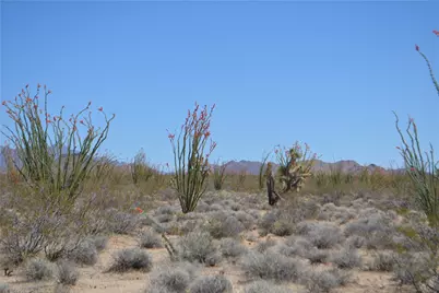 K13 S Red Lake Road, Yucca, AZ 86438 - Photo 25