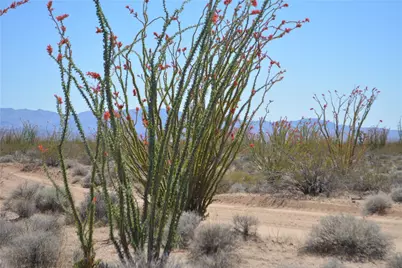 K13 S Red Lake Road, Yucca, AZ 86438 - Photo 15