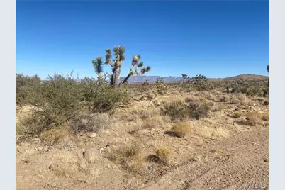 Lots 257, 284 Palm Drive, Dolan Springs, AZ 86441 - Photo 3