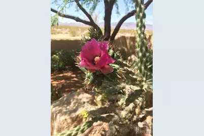 15395 S Clife Road, Yucca, AZ 86438 - Photo 51