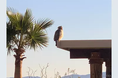 15395 S Clife Road, Yucca, AZ 86438 - Photo 55