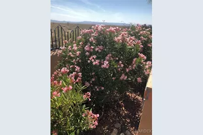 15395 S Clife Road, Yucca, AZ 86438 - Photo 53