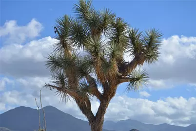 Lot 12 E Hondo Drive, Yucca, AZ 86438 - Photo 5