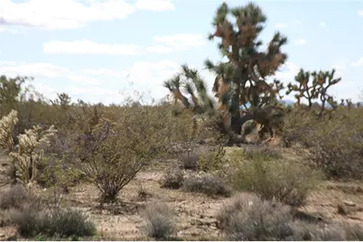 Lot 12 E Hondo Drive, Yucca, AZ 86438 - Photo 61