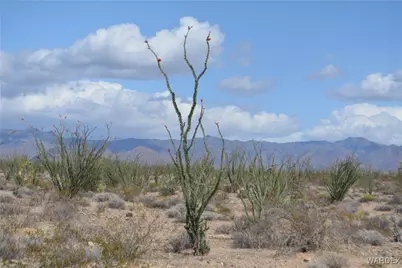 245-24-107 S Rainbow Road, Yucca, AZ 86438 - Photo 63