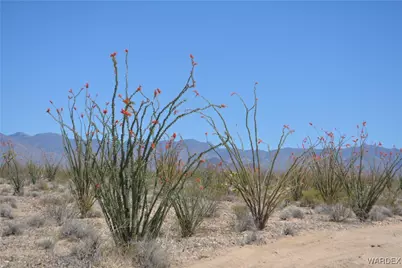 245-24-107 S Rainbow Road, Yucca, AZ 86438 - Photo 81
