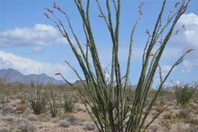 245-24-107 S Rainbow Road, Yucca, AZ 86438 - Photo 65
