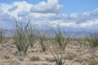 245-24-107 S Rainbow Road, Yucca, AZ 86438 - Photo 61