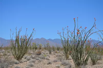 G12 S Rainbow Road, Yucca, AZ 86438 - Photo 7