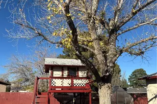 995 Hillcrest Dr, Kingman, AZ 86409 - Photo 65