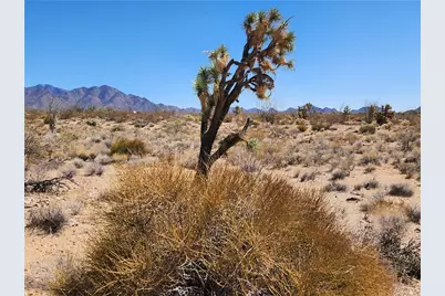 Lot 357 E Adobe Drive #13/6, Yucca, AZ 86438 - Photo 3