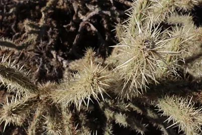 306-07-146B S Higley Road, Golden Valley, AZ 86413 - Photo 9