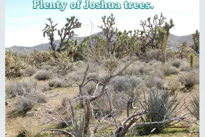 Lot 53 N Saddle Drive, Dolan Springs, AZ 86441 - Photo 3