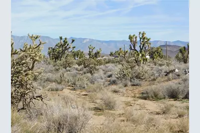 Lot 53 N Saddle Drive, Dolan Springs, AZ 86441 - Photo 17