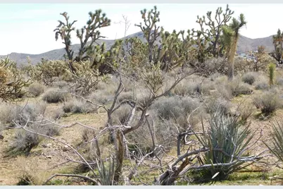 Lot 53 N Saddle Drive, Dolan Springs, AZ 86441 - Photo 15