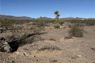 Apn 339-20-096B Guthrie Rd, Golden Valley, AZ 86413 - Photo 1